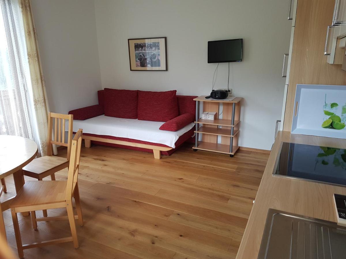 Apartments Spiegl Holzmann Bischofshofen Extérieur photo