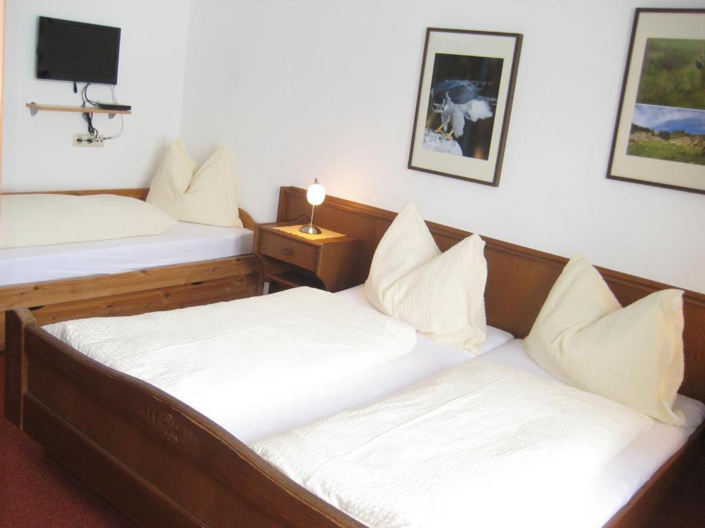 Apartments Spiegl Holzmann Bischofshofen Chambre photo